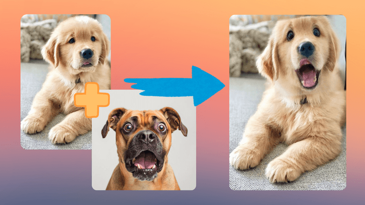 Example of changing expression with animal template